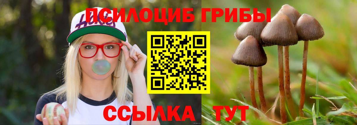 Галлюциногенные грибы MAGIC MUSHROOMS  Вход с VPN  наркотики  Чехов  Галлюциногенные грибы Magic Shrooms 